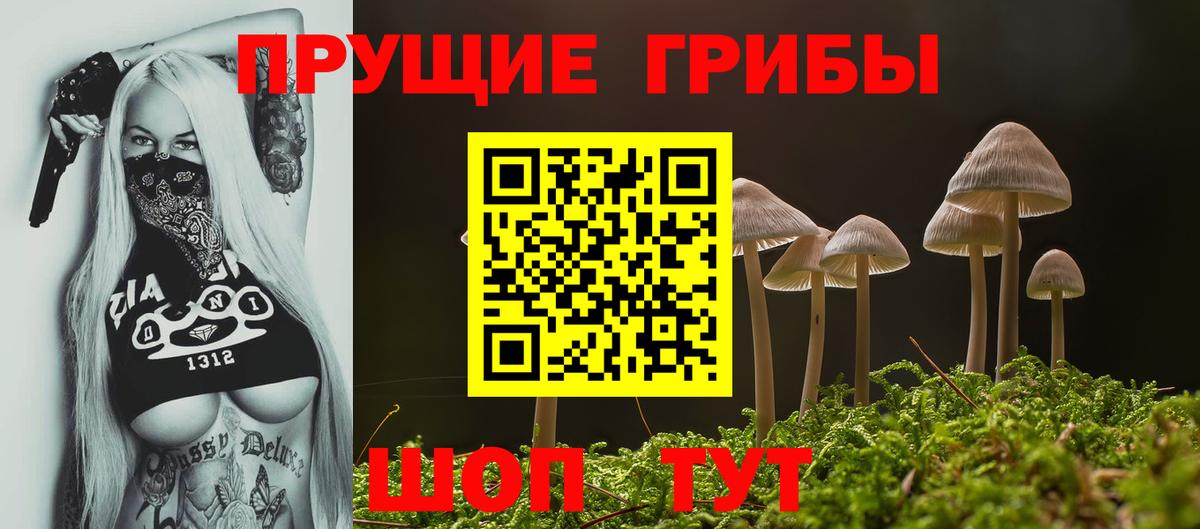 Псилоцибиновые грибы Psilocybine cubensis  Вход с VPN  Псилоцибиновые грибы мухоморы  Рыбинск 